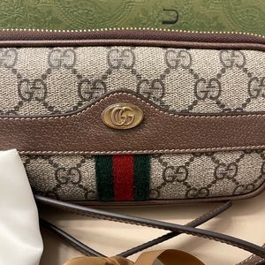 Gucci Mini Ophidia